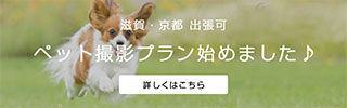 ペット撮影へのリンク